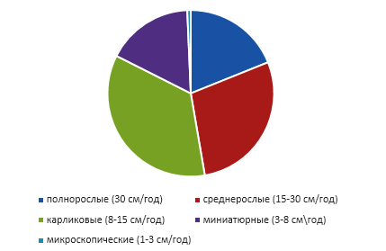 На диаграмме показано распределение деревьев растущих в парке