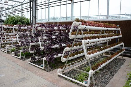 HORTUS BOTANICUS