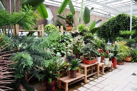 HORTUS BOTANICUS